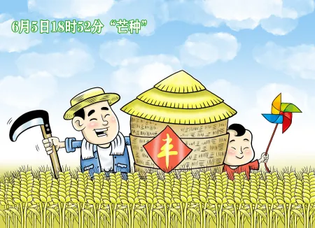 今年芒种不一般，老话说：“芒种节气有三怕”，到底怕什么？
